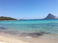 Klicken zum ansehen sardegna_t1.jpg
